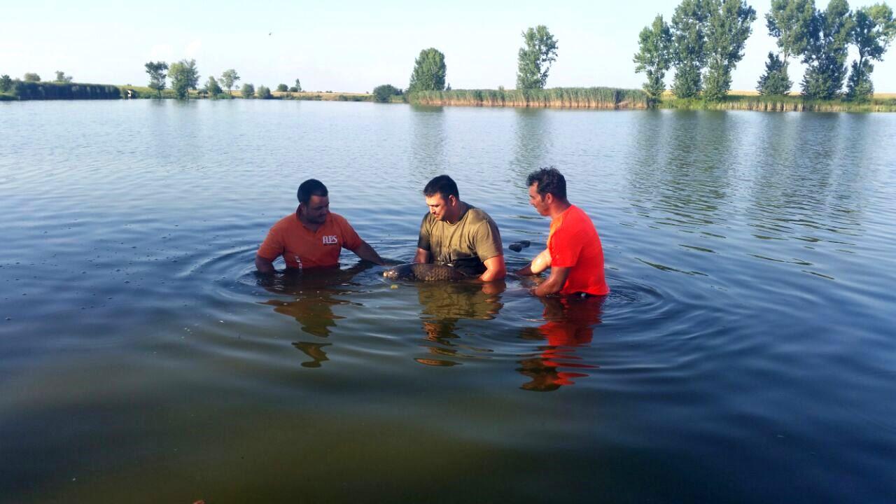 Lacul Teiu 23 - 26 iulie 2015 - r.jpg